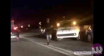 SORA - TRAVOLTI DUE CINGHIALI ED UN CANE, CAOS IN SUPERSTRADA - ioWebbo