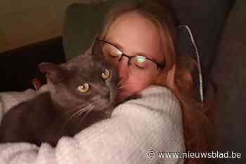 Wendy (22) zoekt gulle gevers om verlamd katje  Marie-Lou aan speciale rolstoel te helpen: “Ik wil haar een nieuw leven schenken”