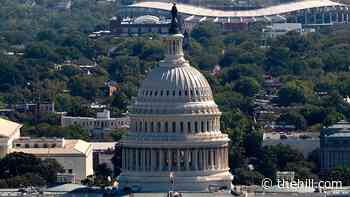 House Democrats: GOP's 'conspiracy promoting, scandal prone, anti-democracy candidates' face uphill battle