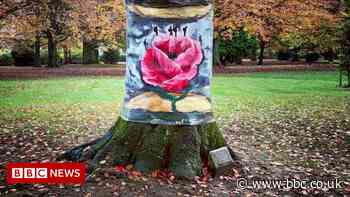 WW1 tree tribute at Coventry's War Memorial Park - BBC News