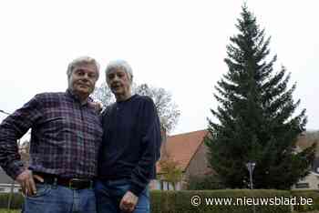 Waarom helemaal naar de Ardennen trekken als droomkerstboom in buurgemeente staat?  “Ik heb altijd gezegd dat onze spar niet zou misstaan op de Grote Markt”