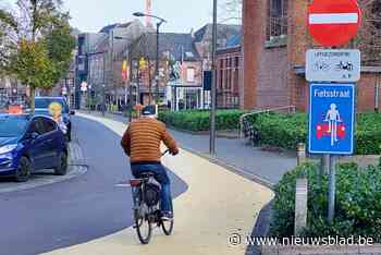 Meningen verdeeld over nieuw tweekleurig asfalt in dorpscentrum