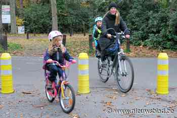 Gele paaltjes zorgen voor meer veiligheid van duizend leerlingen Sint-Ludgardis en Campus Kajee