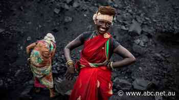 'Saved by coal': Why India refuses to give up an ecosystem that gives life to millions