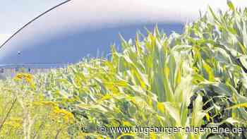 Klimaagentur für Landsberg, Starnberg und Fürstenfeldbruck - Augsburger Allgemeine