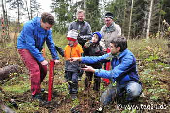 Große Baumpflanz-Aktion in Chemnitz - TAG24