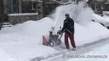 Heavy snow forecasted for Prince Albert and northern Sask. communities