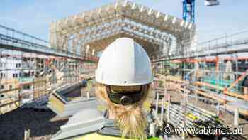 Gemma was in line for a promotion. But everything changed when she fell pregnant