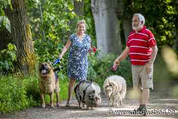 Alles wordt duurder, ook het verenigingsleven