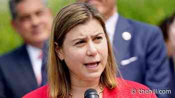 GOP state senator announces potential challenge to Slotkin in Michigan