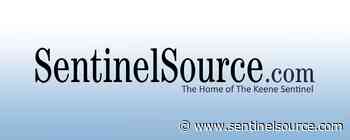 New trail guide for Partridge Woods in Nelson - The Keene Sentinel