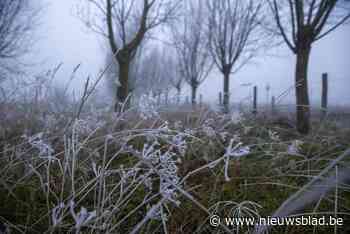 Code geel: KMI waarschuwt voor nevel en mist in veel streken, week begint erg grijs - Het Nieuwsblad