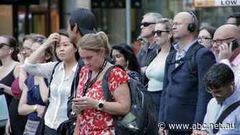 As migration restarts, will it hold down wages for everyone?