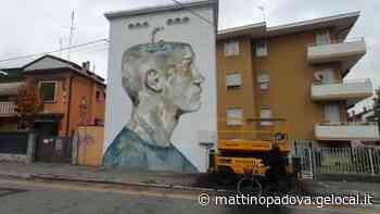 Street art, opera del bolzanino Egeon su una cabina dell’Enel all’Arcella - Il Mattino di Padova