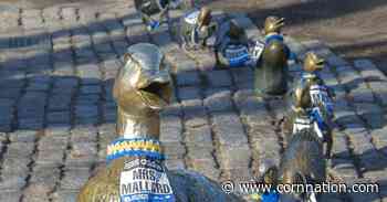 Scott Frost Day News: Marathon Duck, Whale Poop and a Miserable Weekend in College Football - Corn Nation