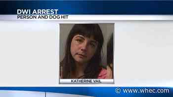 Deputies: Genesee County woman facing DWI charges after hitting person, dog