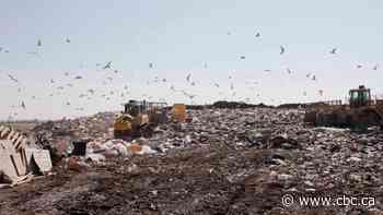 Legislative changes to clear the way for shifting recycling costs to producers
