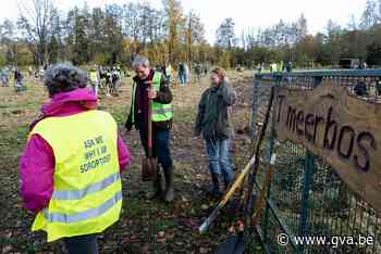Soroptimisten en Natuurpunt planten samen 't Meer Bos: na schenking buurtbewoonster Inge - Gazet van Antwerpen