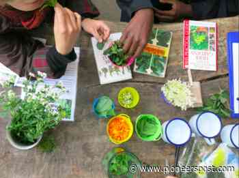 Five tips for connecting to nature from social enterprise Hackney Herbal - Pioneers Post
