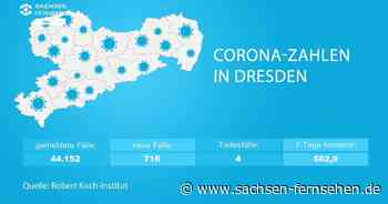 Drehscheibe Dresden vom 15.11.2021 - SACHSEN FERNSEHEN