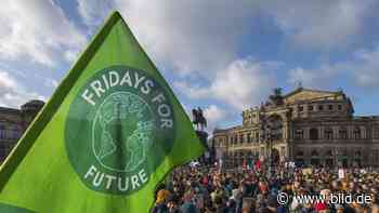 Dresden: Namens-Ärger bei Fridays for Future | Regional - BILD