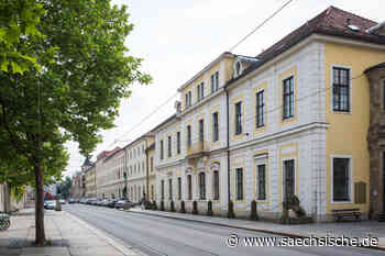 Schläger verletzt in Dresden zwei Polizisten - Sächsische.de