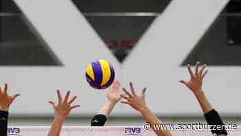 VC Olympia Dresden kehrt ohne Punkte aus Dingolfing zurück - Sportbuzzer
