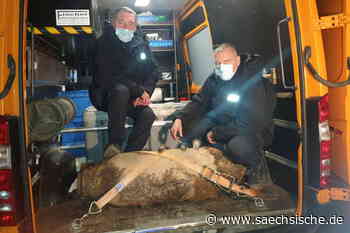 Bombe in Dresden-Friedrichstadt ist entschärft - Sächsische.de