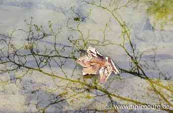 Sagen - Wem das letzte Stündlein schlägt - Neue Presse Coburg