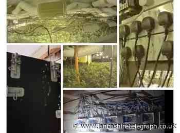 Two Albanian nationals deported over £950,000 cannabis set-up