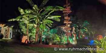 Abschluss der Gartentage mit stimmungsvoller Beleuchtung | Raesfeld - ruhrnachrichten.de