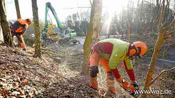 A44: Gehölzpflege in der Anschlussstelle Witten-Annen - Westdeutsche Allgemeine Zeitung
