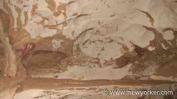 45,000-Year-Old Painting Of A Warty Pig Upends History Of Art