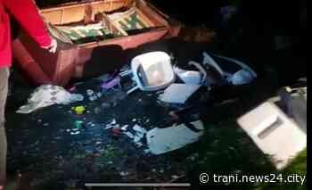 Barba e Capelli – La fototrappola salverà il mondo (e Trani) - Trani news24city