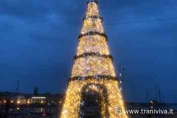 Trani, in piazza Quercia si accende il grande albero di Despar Centro-Sud - TraniViva