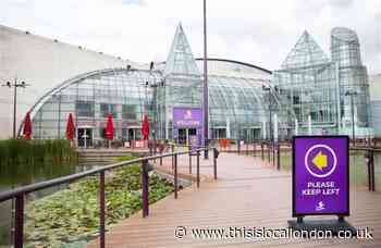 Bluewater owner reveals ‘cautious optimism’ after profit