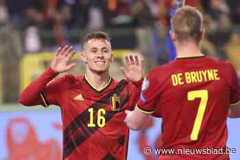 Mee bieden op voetbaltruitje van de Rode Duivels? Opbrengst gaat naar het goede doel