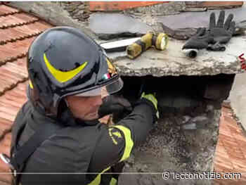 Varesotto. Gatto incastrato in un camino, 'salvato' dai pompieri - Lecco Notizie