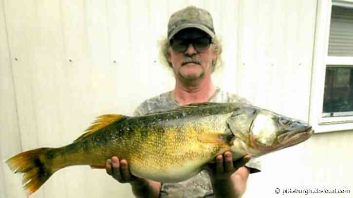 Connellsville Father, Son Catch Largest Walleye In Pa. History In Youghiogheny River
