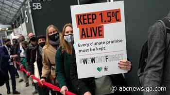 'Watered-down hope': Experts wanted more from climate pact