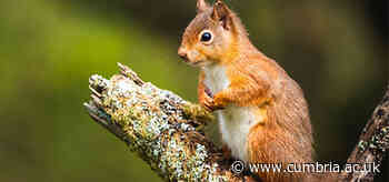 Filmmaking lecturer pivotal in Channel 5 tribute to Kielder Forest - University of Cumbria