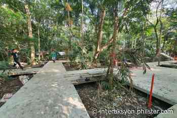 Citing trees cut down, advocates renew call to save Manila’s Arroceros Forest Park - Interaksyon