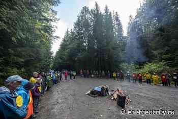 B.C. forest company says rule of law must apply to ongoing protests at Fairy Creek - Energeticcity.ca