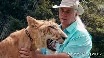 Tiger King 2 and the Weird Rise of Documentary Sequels