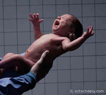 Why Do Humans Possess a Twisted Birth Canal? Unraveling an Evolutionary Puzzle