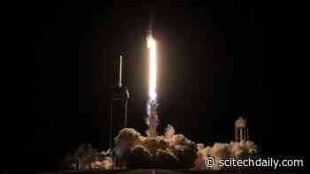 Must See NASA Images of the Week: SpaceX Launch, The Force Awakens, Dark Star-Hatching frEGGs