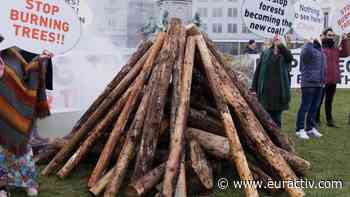 NGO's 'set fire' to protest use of forest biomass - EURACTIV