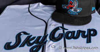 Why Marlins’ minor league affiliate in Beloit rebranded as “Sky Carp” - Fish Stripes