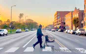 How Did A 72-Pound Carp End Up In Humboldt Park's Lagoon? Big Catch Could Be From A Decades-Old Mistake, Experts Say - Block Club Chicago