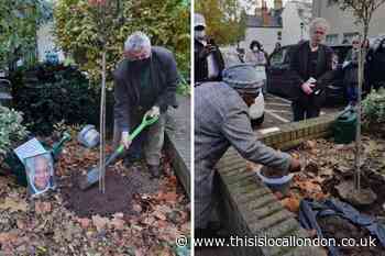 Memory tree for Walthamstow GP who died from Covid